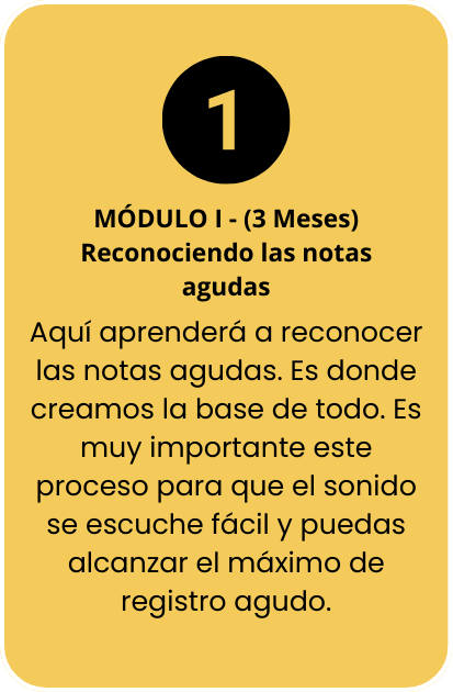 Design sem nome - 2024-03-28T163333.079